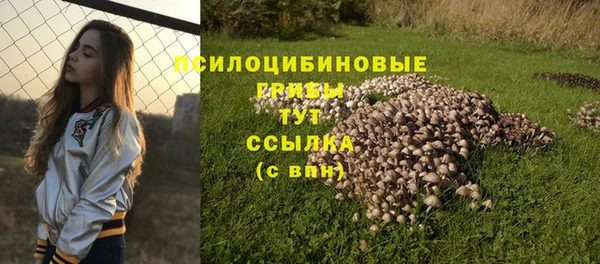 ешки Армянск